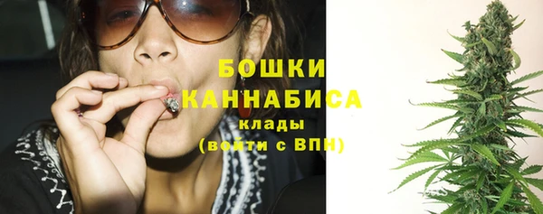 круглые Гусев