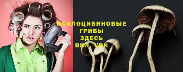 скорость Гусиноозёрск