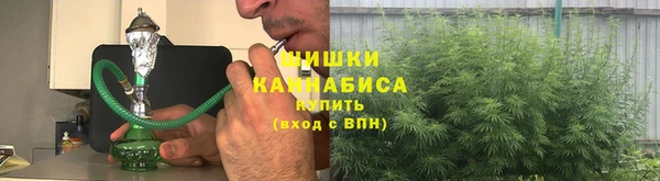 круглые Гусев