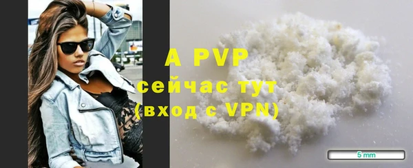 круглые Гусев