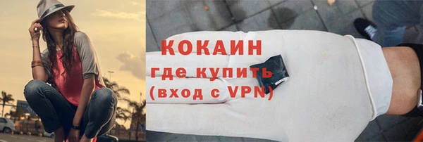 круглые Гусев