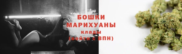 круглые Гусев