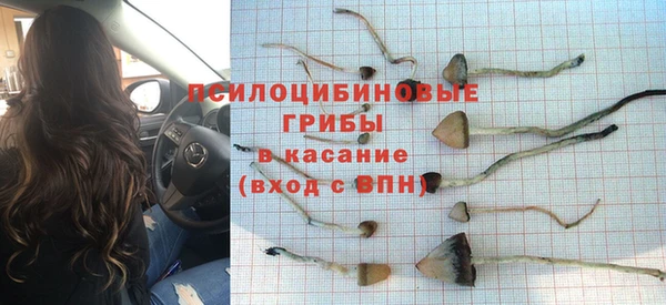 круглые Гусев