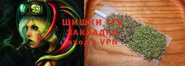 круглые Гусев