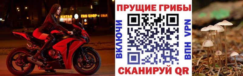 Псилоцибиновые грибы Psilocybe  Сызрань 